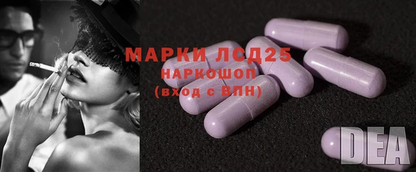 ПСИЛОЦИБИНОВЫЕ ГРИБЫ Абаза