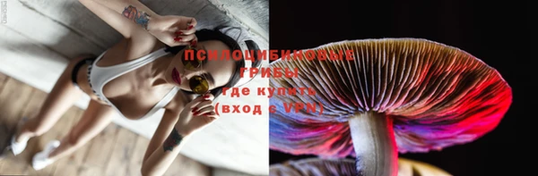 соль ск Абдулино
