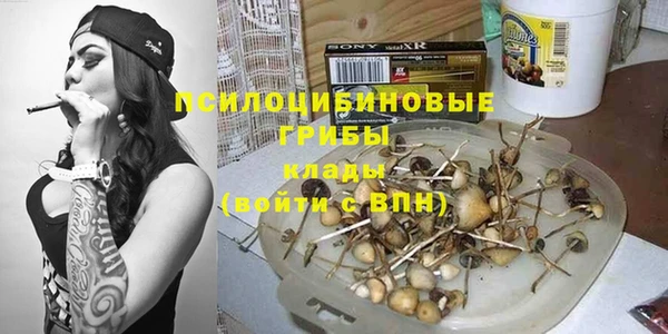 ПСИЛОЦИБИНОВЫЕ ГРИБЫ Абаза