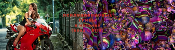 винт Абинск