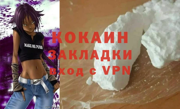 ПСИЛОЦИБИНОВЫЕ ГРИБЫ Абаза