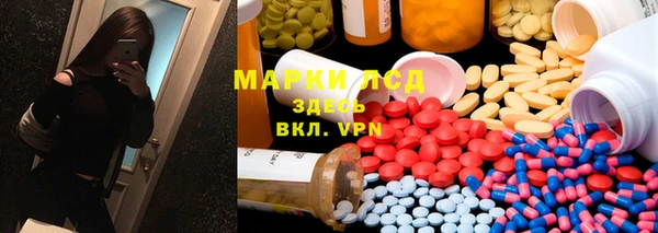 ПСИЛОЦИБИНОВЫЕ ГРИБЫ Абаза