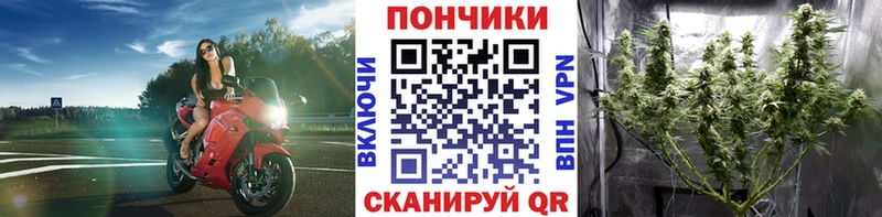 Каннабис индика Альметьевск
